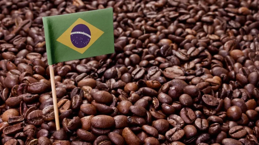 Brazil: Mô Hình Phát Triển Ngành Cà Phê Qua Thương Mại Quốc Tế